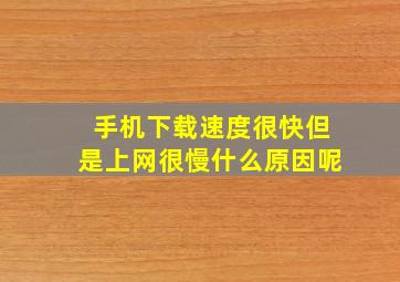 手机下载速度很快但是上网很慢什么原因呢