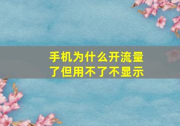 手机为什么开流量了但用不了不显示