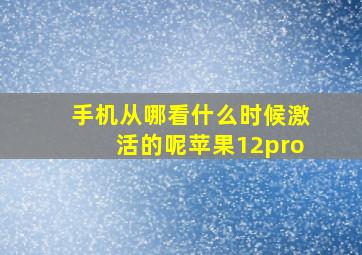 手机从哪看什么时候激活的呢苹果12pro