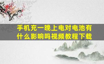 手机充一晚上电对电池有什么影响吗视频教程下载