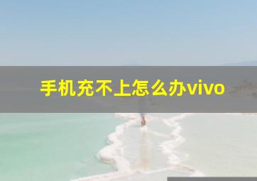 手机充不上怎么办vivo