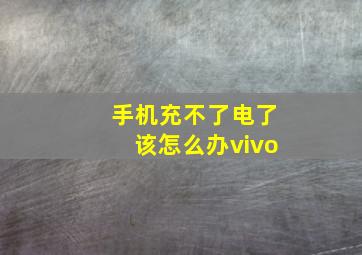 手机充不了电了该怎么办vivo