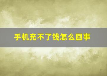 手机充不了钱怎么回事