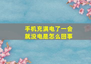 手机充满电了一会就没电是怎么回事