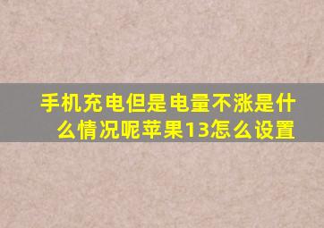 手机充电但是电量不涨是什么情况呢苹果13怎么设置