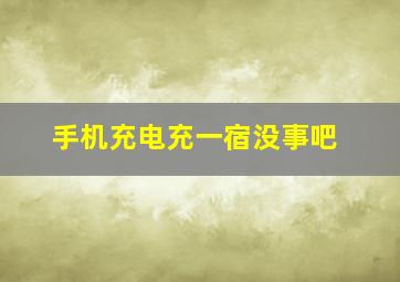 手机充电充一宿没事吧