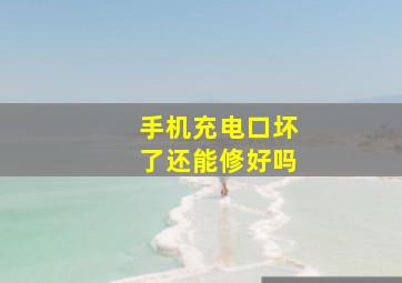 手机充电口坏了还能修好吗