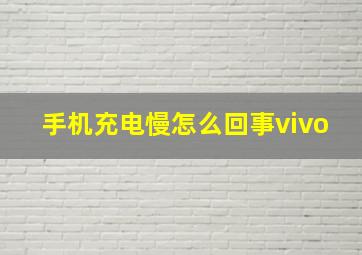 手机充电慢怎么回事vivo