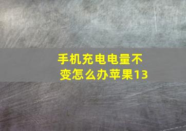 手机充电电量不变怎么办苹果13