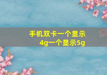 手机双卡一个显示4g一个显示5g