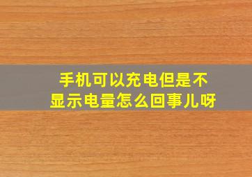 手机可以充电但是不显示电量怎么回事儿呀