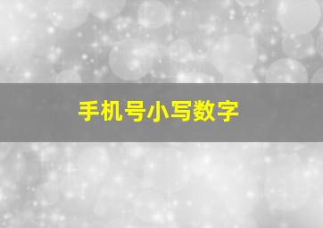 手机号小写数字