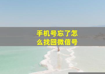 手机号忘了怎么找回微信号