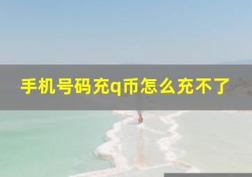 手机号码充q币怎么充不了