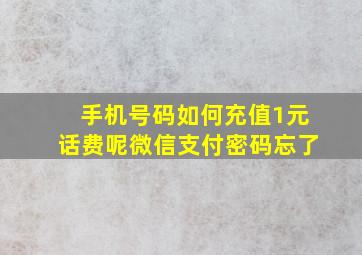 手机号码如何充值1元话费呢微信支付密码忘了