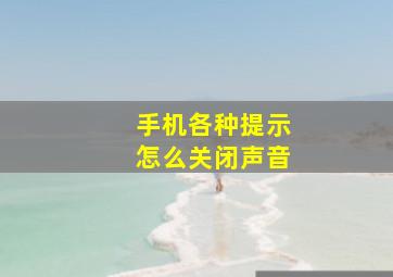 手机各种提示怎么关闭声音