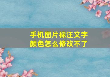 手机图片标注文字颜色怎么修改不了