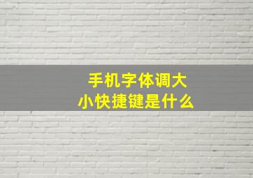 手机字体调大小快捷键是什么