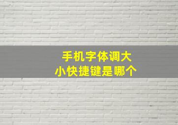 手机字体调大小快捷键是哪个