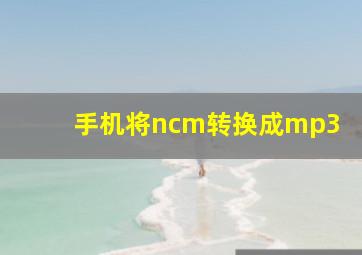 手机将ncm转换成mp3