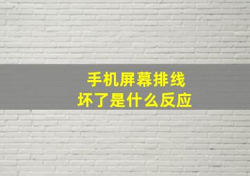 手机屏幕排线坏了是什么反应