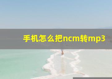 手机怎么把ncm转mp3