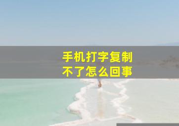 手机打字复制不了怎么回事