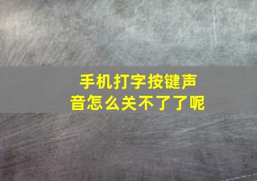 手机打字按键声音怎么关不了了呢