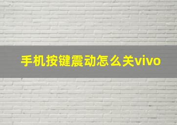 手机按键震动怎么关vivo