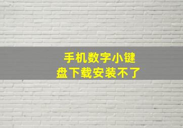 手机数字小键盘下载安装不了