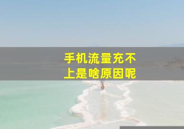 手机流量充不上是啥原因呢