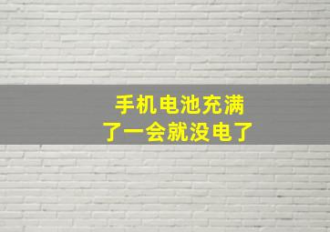 手机电池充满了一会就没电了