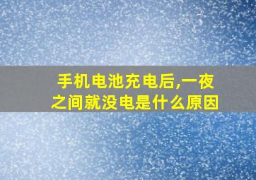 手机电池充电后,一夜之间就没电是什么原因