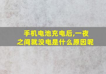 手机电池充电后,一夜之间就没电是什么原因呢