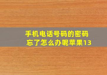 手机电话号码的密码忘了怎么办呢苹果13