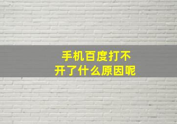 手机百度打不开了什么原因呢