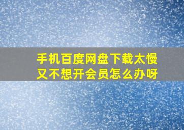 手机百度网盘下载太慢又不想开会员怎么办呀