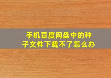 手机百度网盘中的种子文件下载不了怎么办