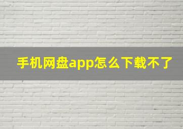 手机网盘app怎么下载不了