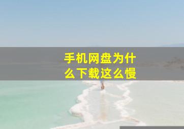 手机网盘为什么下载这么慢