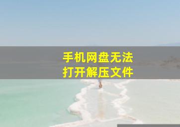 手机网盘无法打开解压文件