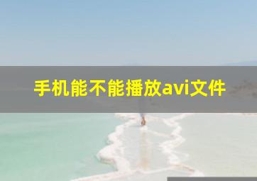 手机能不能播放avi文件