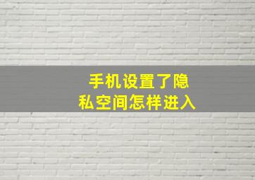 手机设置了隐私空间怎样进入