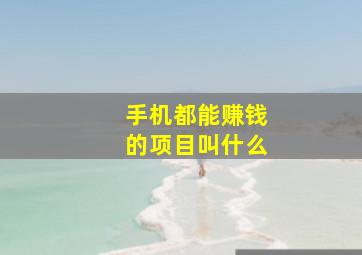 手机都能赚钱的项目叫什么