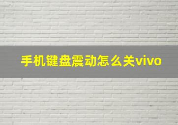 手机键盘震动怎么关vivo