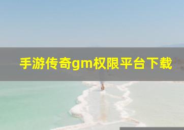 手游传奇gm权限平台下载