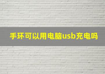 手环可以用电脑usb充电吗