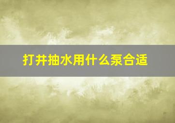 打井抽水用什么泵合适