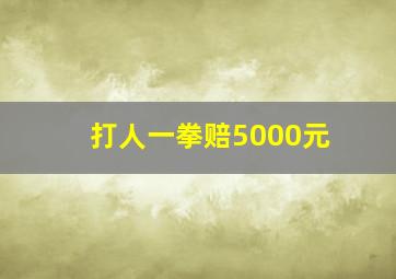 打人一拳赔5000元