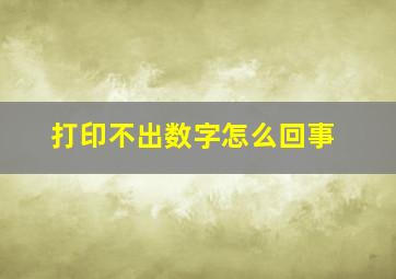 打印不出数字怎么回事